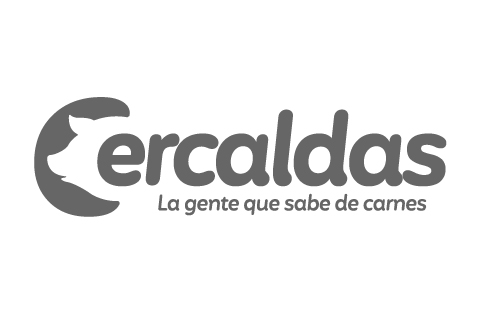 Logo impakto cercaldas